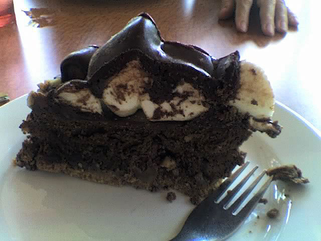 doublechocolate-4499550