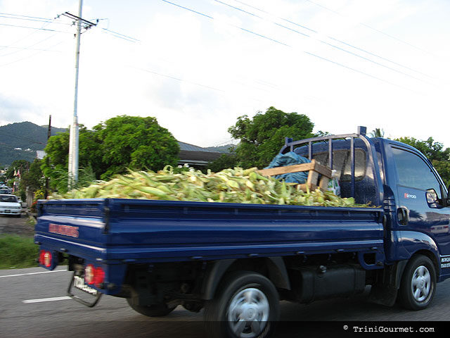 Truck with corn