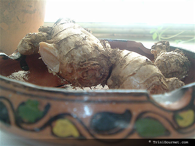 Ginger ginger-8335164